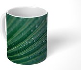 Mok - Donkergroene en botanische palmbladeren na regenbui - 350 ML - Beker