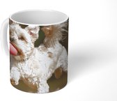 Mok - Koffiemok - Een Maltezer hond met een rode bal - Mokken - 350 ML - Beker - Koffiemokken - Theemok