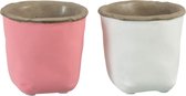 J-Line Bloempot Zakje Cement Roze Extra Small Assortiment Van 2 /Set van 12 Stuks