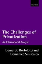 The Challenges of Privatization