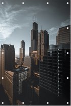 Sears Willis Tower in de kenmerkende skyline van Chicago - Foto op Tuinposter - 60 x 90 cm