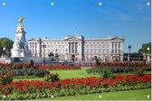 Gazon in bloei voor het Buckingham Palace in Londen - Foto op Tuinposter - 60 x 40 cm