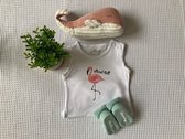 Geboortejongenmeisje.nl - Cadeaupakket baby Meisje | Kraamcadeau | Baby cadeau | Relatiegeschenk