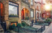 Huizen en hun tuinen bij ochtendgloren in Chicago - Foto op Forex - 60 x 40 cm