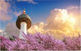 De Namsan Seoul Tower achter kersenbloesem in Zuid Korea - Foto op Forex - 60 x 40 cm