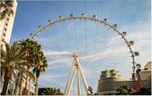 Het grote reuzenrad van Las Vegas vanuit hotel The Linq - Foto op Forex - 90 x 60 cm