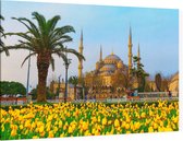 De Blauwe Moskee van Sultan Ahmed in Istanbul - Foto op Canvas - 150 x 100 cm