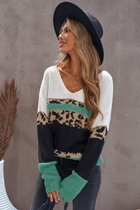 Trui Sweater Dames - Colorblock Luipaard - Maat S | bol.com