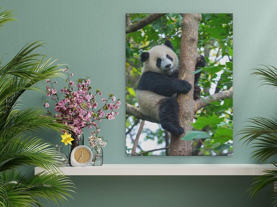 Artaza Peinture sur Toile Panda dans les Arbres - 30x40 - Klein - Photo sur Toile - Impression sur Toile