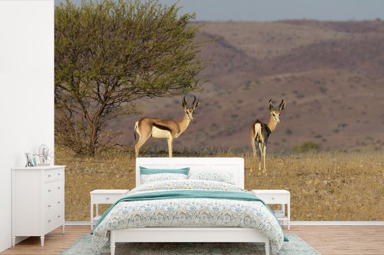 Papier peint vinyle - Deux gazelles face à la plaine africaine largeur 330 cm x hauteur 220 cm - Tirage photo sur papier peint (disponible en 7 tailles)