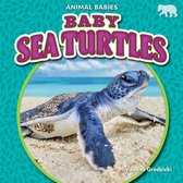 Animal Babies Set Three- Baby Sea Turtles