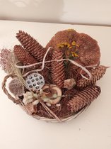 Rieten mandje met dennenappels. Lotus, diverse zwammen, droogbloemen, mos etc etc - Cadeau