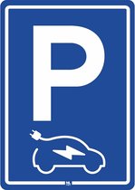 P Elektrische auto