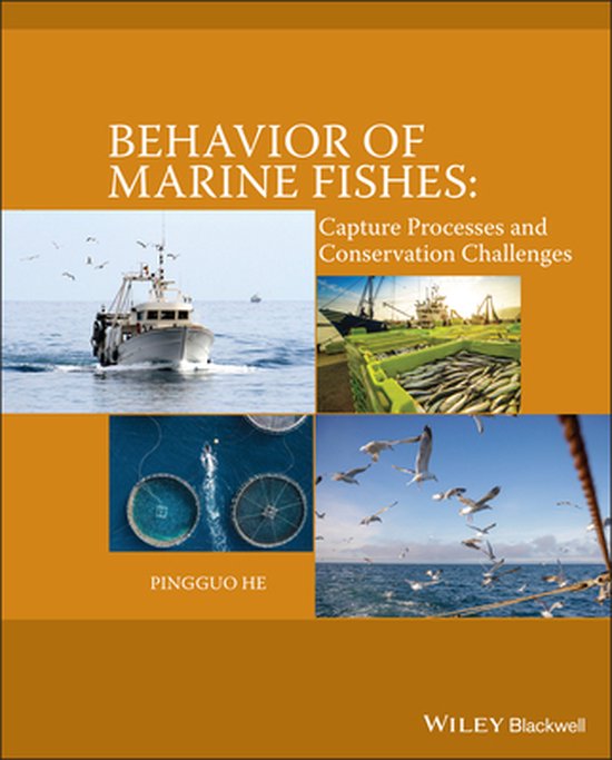 Unveiling the Secrets of Marine Fish Behavior: A Journey of Discovery