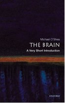 Brain Very Short Introduction