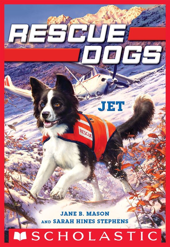 Boek cover Jet (Rescue Dogs #3) van Jane B. Mason (Onbekend)