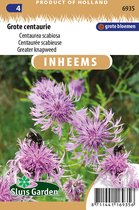 Sluis garden - Inheemse bloemenzaden - Grote centaurie - geproduceerd in Nederland