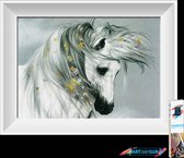 Artstudioclub®  Diamond painting volwassenen wit paard 25 x 30 cm