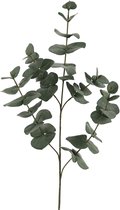 Viv! Home Luxuries Eucalyptus - zijden bloem - groen - 61cm - topkwaliteit
