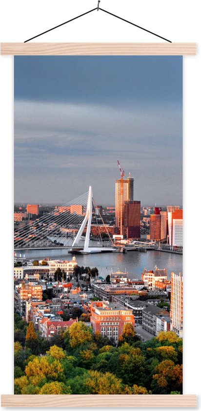 Affiche scolaire - Rotterdam - Skyline - Arbre - 40x80 cm - Lattes vierges