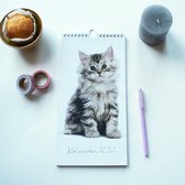 Hobbit Minikalender Katten-2022