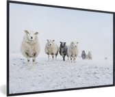 Fotolijst incl. Poster - Schaap - Wol - Sneeuw - 60x40 cm - Posterlijst