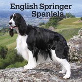 Engelse Springer Spaniel Kalender 2022