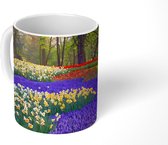 Mok - Bloemen in de Keukenhof in Zuid-Holland - 350 ML - Beker