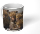 Mok - Vos - Welp - Weg - 350 ML - Beker