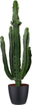 FloriaFor  - Euphorbia Erytrea In ELHO Brussels Round (zwart) - Vers Van De Kweker - ↨ 110cm - ⌀ 30cm