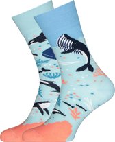 Many Mornings sokken - Ocean Life - Unisex - Maat: 43-46