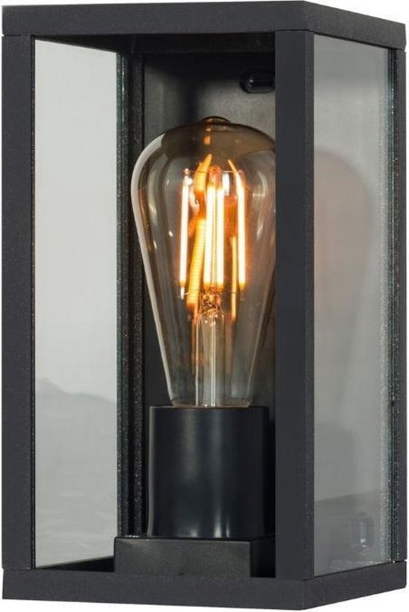 Nyx One - Buitenlamp - Industrieel - Glas - Wandlamp - E27 Grote Fitting - Zwart