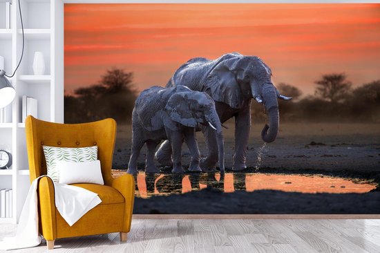Behang - Fotobehang Twee olifanten bij zonsondergang - Breedte 330 cm x hoogte 220 cm