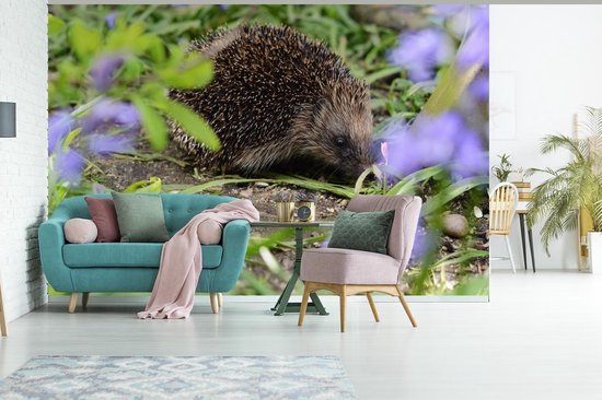 Papier peint photo peint photo vinyle - Hérisson derrière les fleurs largeur 600 cm x hauteur 400 cm - Tirage photo sur papier peint (disponible en 7 tailles)