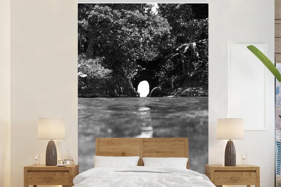 goedkoop pak dump Behang - Fotobehang Gat in de muur in de natuur van Costa Rica in zwart wit  - Breedte... | bol.com