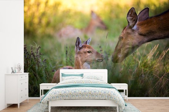 Papier peint - Papier peint Papier peint photo Cerf - Herbe - Forêt - Largeur 450 cm x hauteur 300 cm
