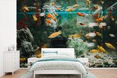 Behang - Fotobehang visjes in een aquarium - Breedte 420 cm x hoogte 280 cm