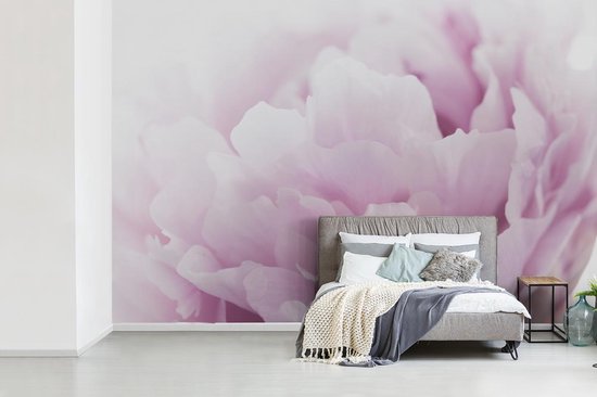 Papier peint Papier peint photo en vinyle - Gros plan d'une pivoine rose largeur 330 cm x hauteur 220 cm - Tirage photo sur papier peint (disponible en 7 tailles)