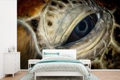 Behang - Fotobehang Close-up karetschildpaddenoog - Breedte 330 cm x hoogte 220 cm