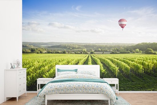 Papier peint photo vinyle - Raisins à la campagne avec une montgolfière largeur 600 cm x hauteur 400 cm - Tirage photo sur papier peint (disponible en 7 tailles)