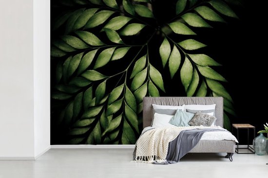 Papier peint photo vinyle - Les branches d'une fougère sur fond noir largeur 330 cm x hauteur 220 cm - Tirage photo sur papier peint (disponible en 7 tailles)