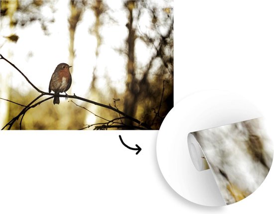 Robin sur une branche dans la nature 385x280 cm