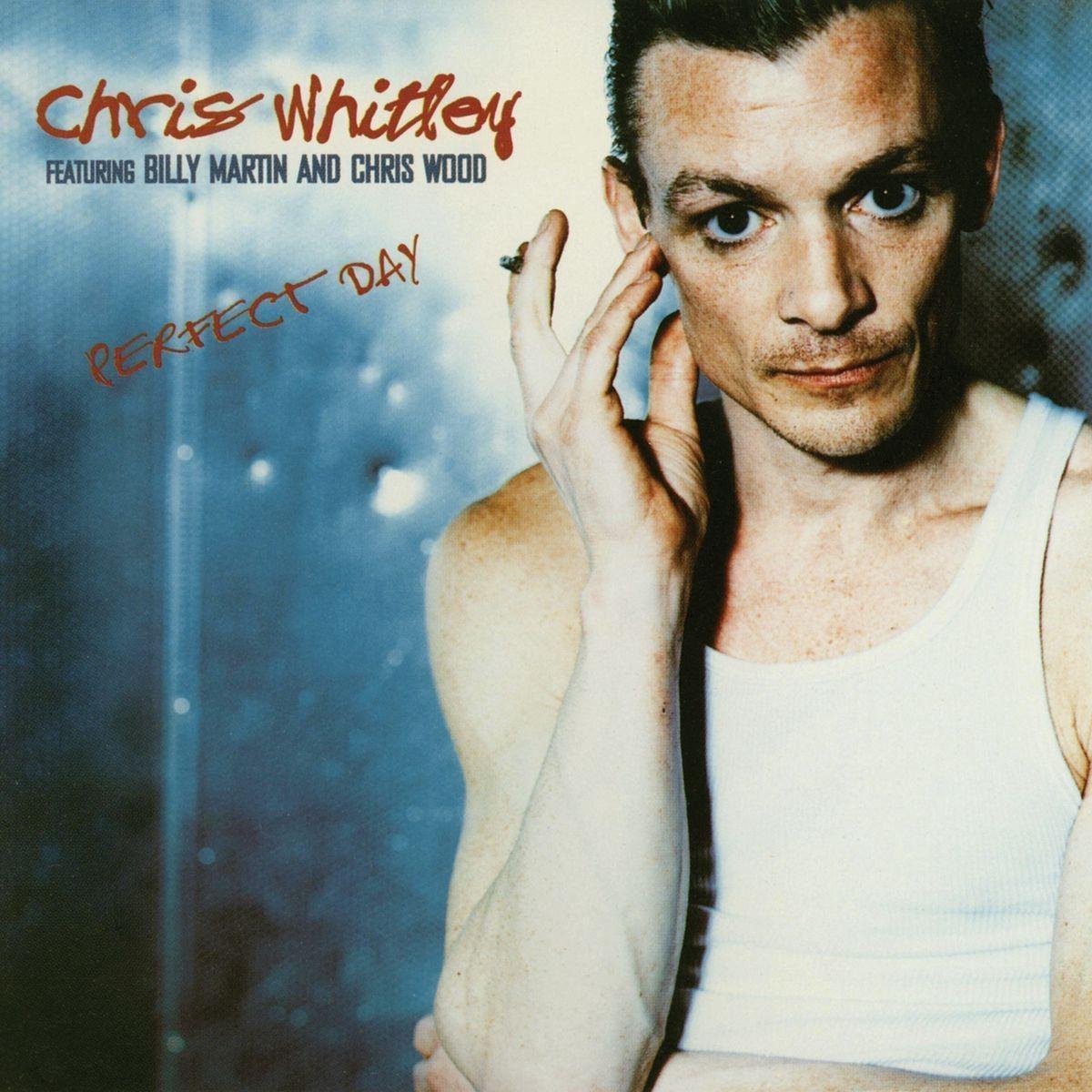 Chris Whitley, Billy Martin, Chris Wood - Perfect Day (CD)