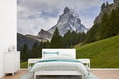 Behang - Fotobehang De Zwitserse Matterhorn achter een dennenbos - Breedte 420 cm x hoogte 280 cm