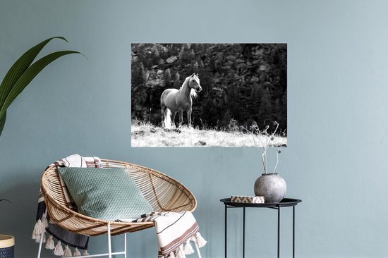 Stickers muraux - Film autocollant - Cheval Haflinger dans les montagnes - noir et blanc - 60x40 cm - Film adhésif - Stickers muraux Chambre d'enfant - Papier peint autocollant - Papier peint autocollant - Film autocollant