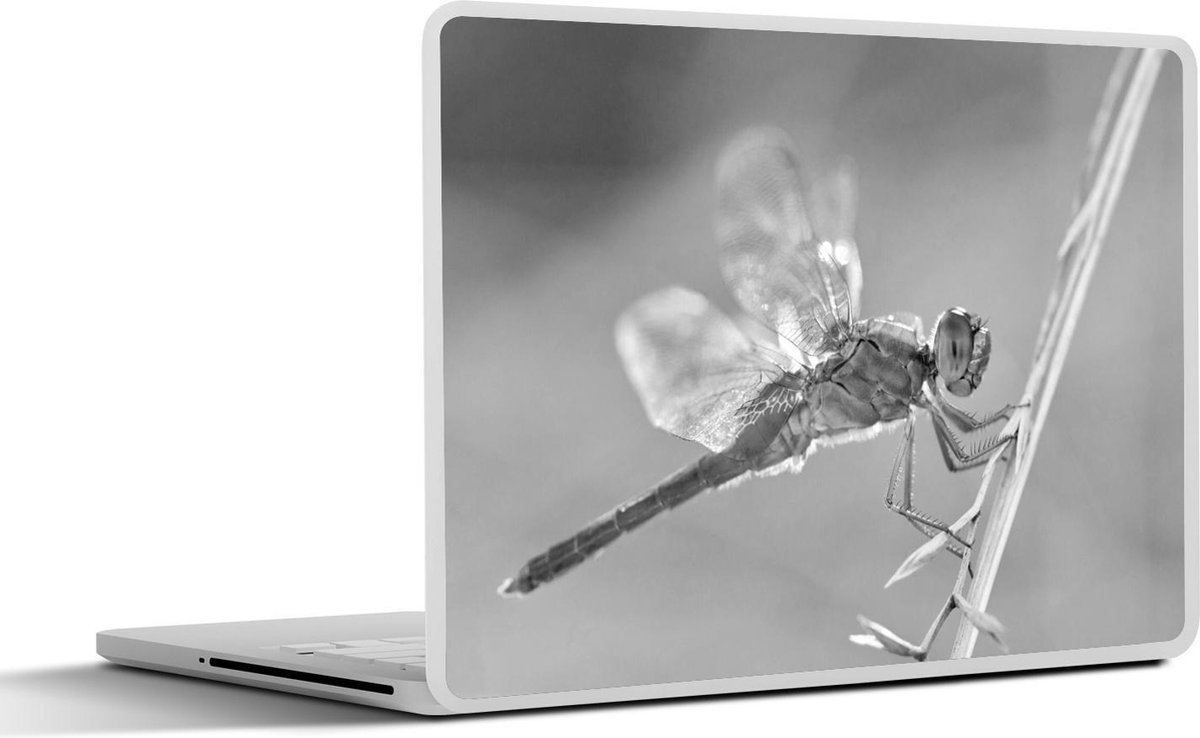 Afbeelding van product SleevesAndCases  Laptop sticker - 11.6 inch - Libelle aan een spriet in Camargue - zwart wit