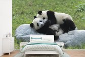Behang - Fotobehang Pandas - Gras - Steen - Breedte 420 cm x hoogte 280 cm