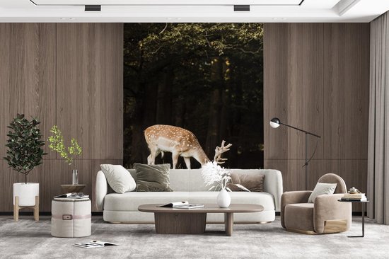 Papier peint - Papier peint photo Cerf - Nourriture - Herbe - Largeur 160 cm x hauteur 220 cm