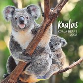 Comello Kalender 2022 Koala 30 X 30 Cm Papier