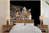 Behang - Fotobehang Luipaard - Dieren - Zwart - Breedte 350 cm x hoogte 350 cm